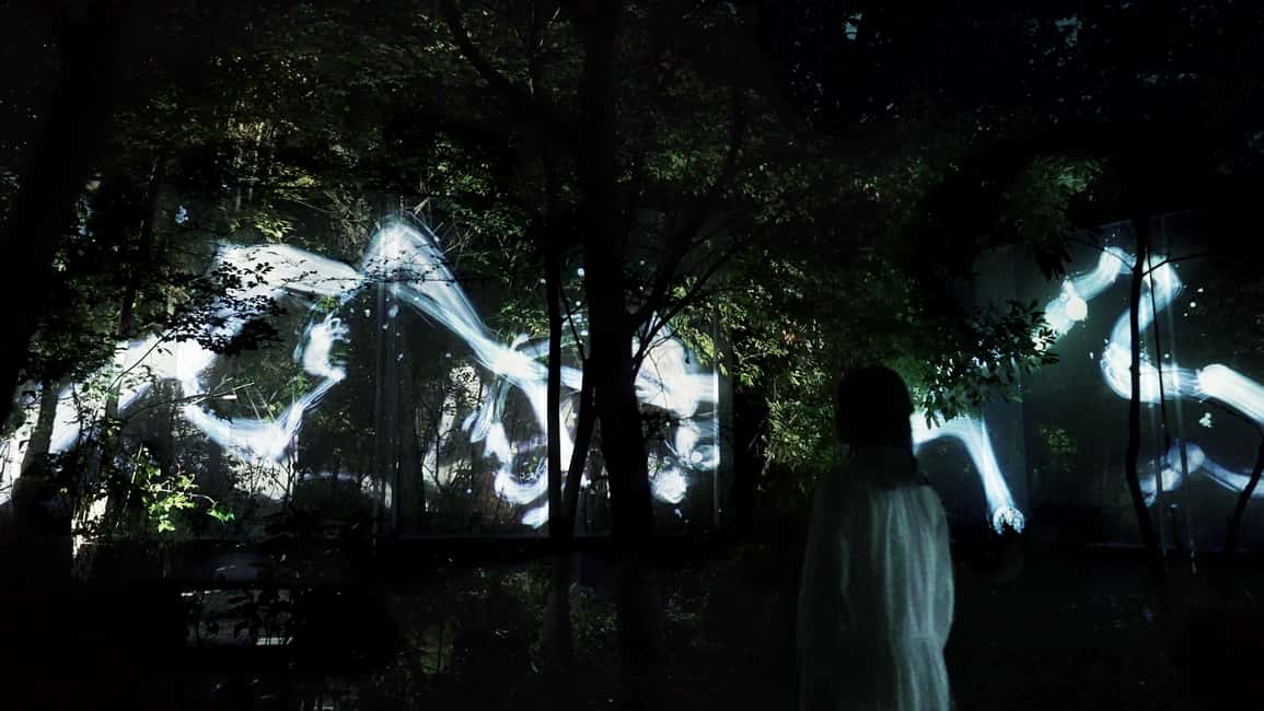 Image N°14 de Osaka : ticket d'entrée au jardin botanique teamLab activité à Osaka, publiée par le prestataire