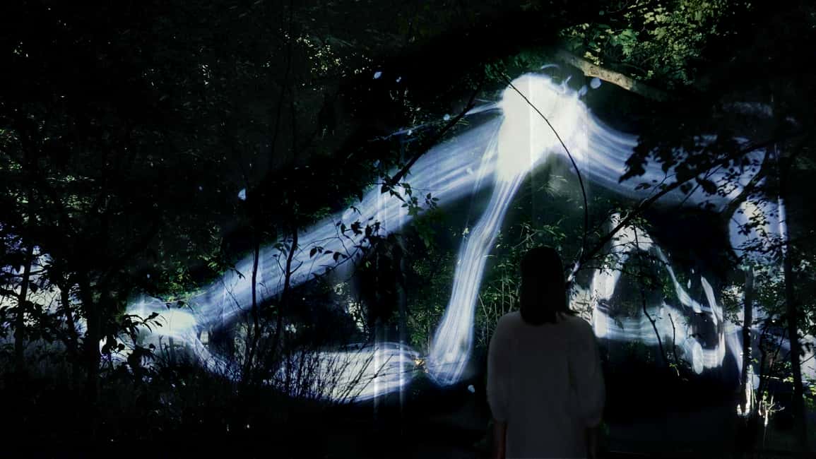 Image N°15 de Osaka : ticket d'entrée au jardin botanique teamLab activité à Osaka, publiée par le prestataire