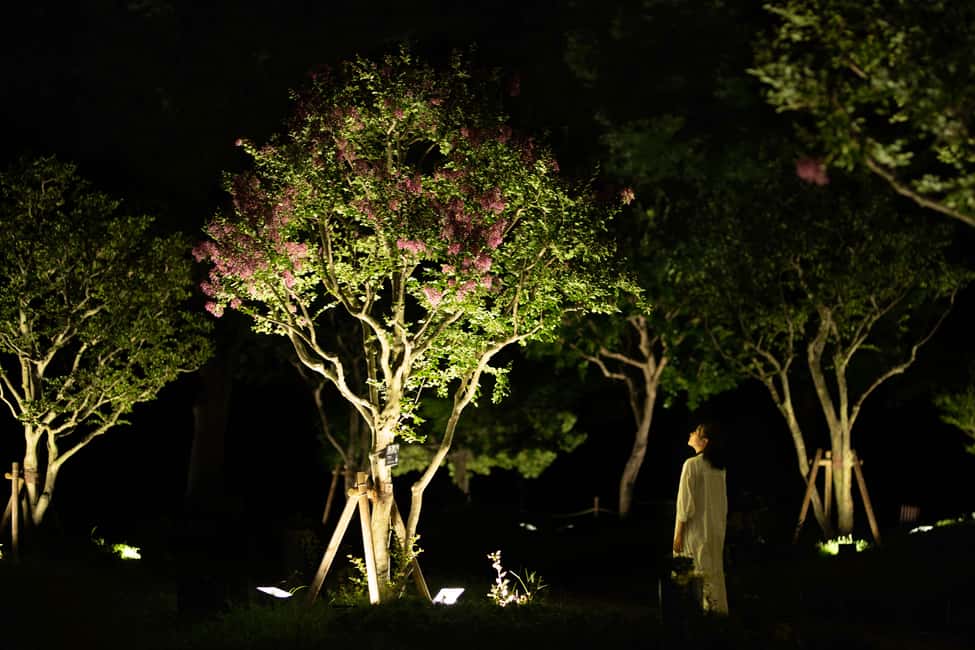 Image N°16 de Osaka : ticket d'entrée au jardin botanique teamLab activité à Osaka, publiée par le prestataire