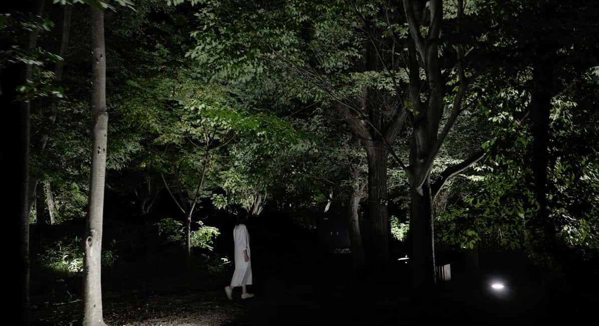 Image N°18 de Osaka : ticket d'entrée au jardin botanique teamLab activité à Osaka, publiée par le prestataire