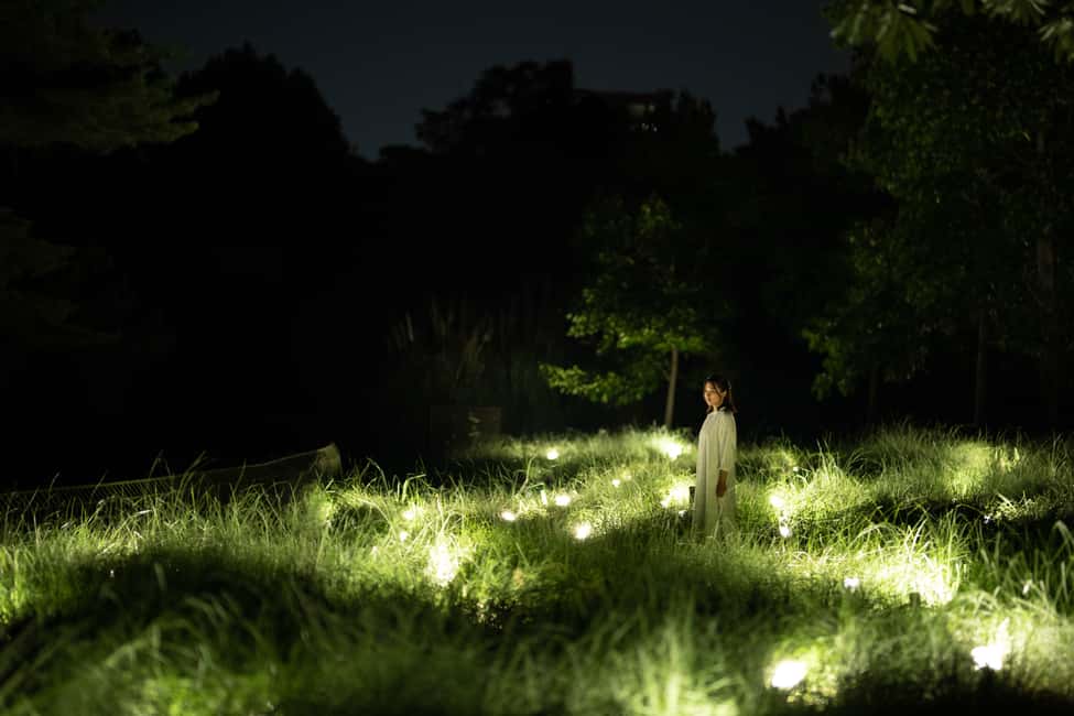 Image N°20 de Osaka : ticket d'entrée au jardin botanique teamLab activité à Osaka, publiée par le prestataire