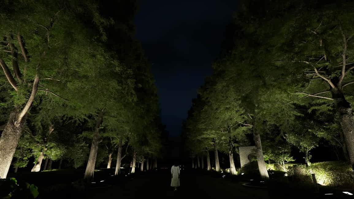 Image N°21 de Osaka : ticket d'entrée au jardin botanique teamLab activité à Osaka, publiée par le prestataire