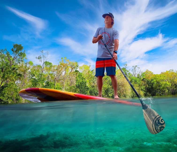 bild nr.1 av Orange City: Blue Spring State Park SUP & Kayaking Tour aktivitet i Florida, uppladdad av arrangören