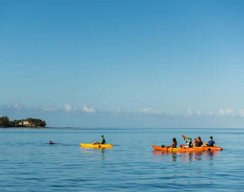 image n.3 of Tamarin: Guided Kayak Tour with Dolphins activity in Tamarin, uploaded by supplier