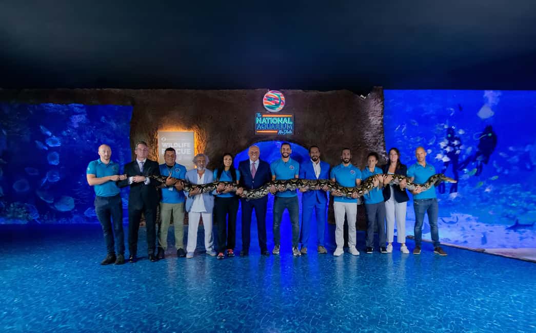 image n.13 of Abu Dhabi: National Aquarium Entrance Ticket activity in Abu Dhabi, uploaded by supplier