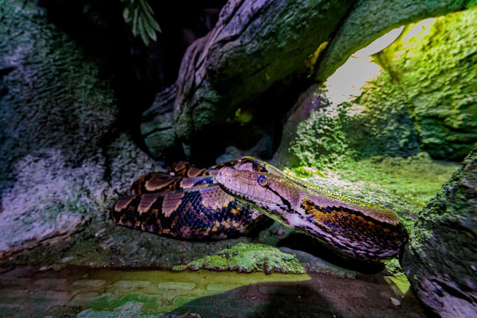 image n.18 of Abu Dhabi: National Aquarium Entrance Ticket activity in Abu Dhabi, uploaded by supplier