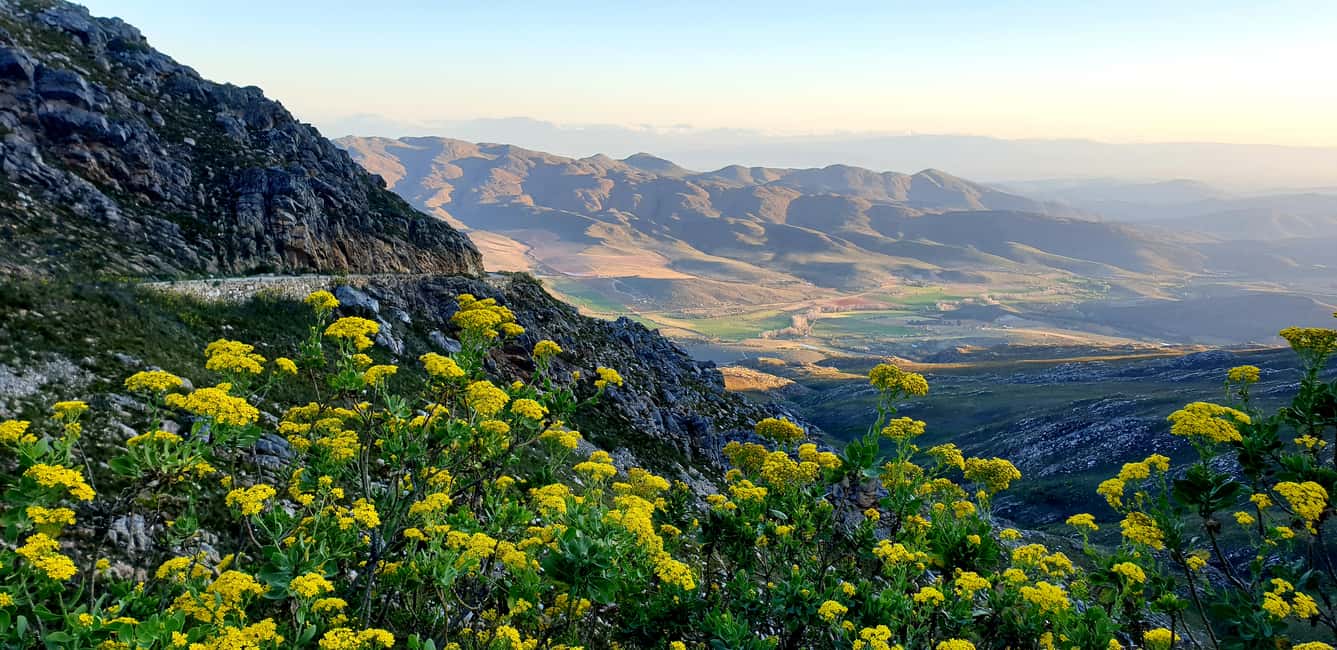 image n.1 of Oudtshoorn: Half-Day Swartberg Pass Private Guided Tour activity in Western Cape, uploaded by supplier
