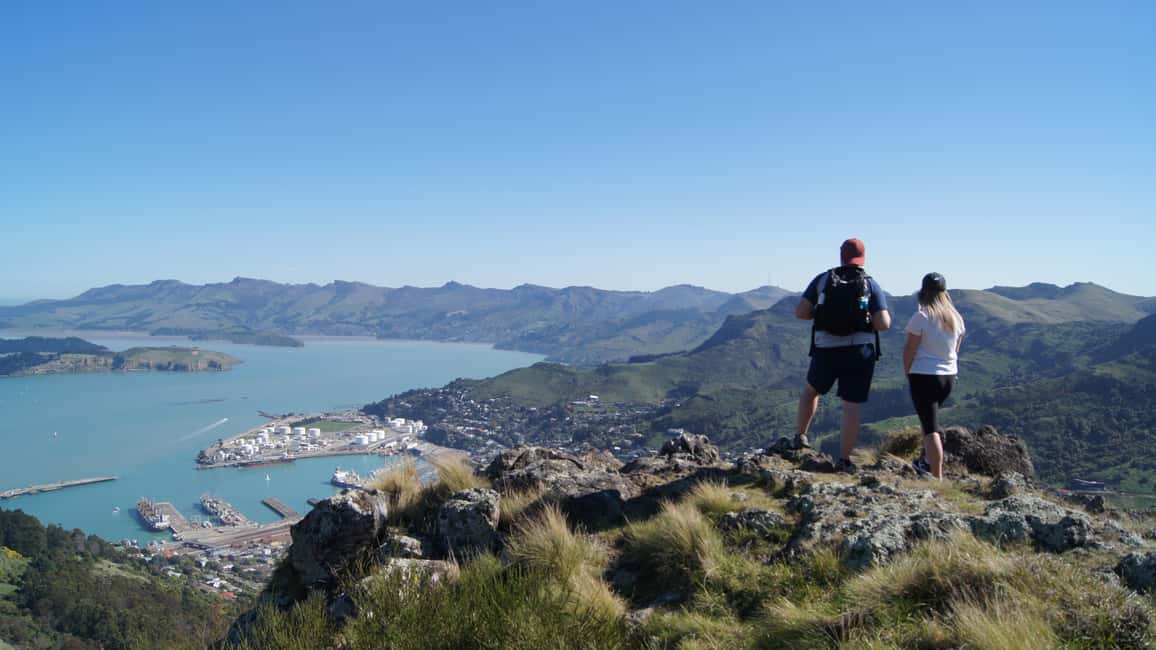image n.11 of Christchurch: Guided Crater Rim Walk with Picnic activity in Christchurch, uploaded by supplier