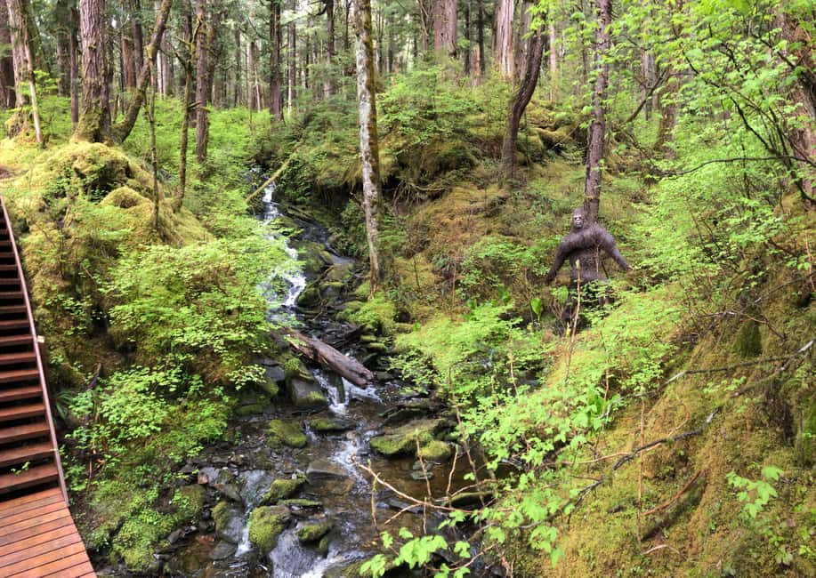 image n.3 of Ketchikan: Tongass Forest Alaska Bigfoot ATV Ride and Hike activity in Juneau Alaska, uploaded by supplier