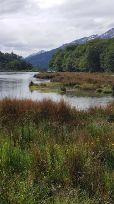 Immagine nº 6 di Ushuaia: Tour privato del Parco Nazionale della Terra del Fuoco attività a Terra del Fuoco, caricata dal fornitore