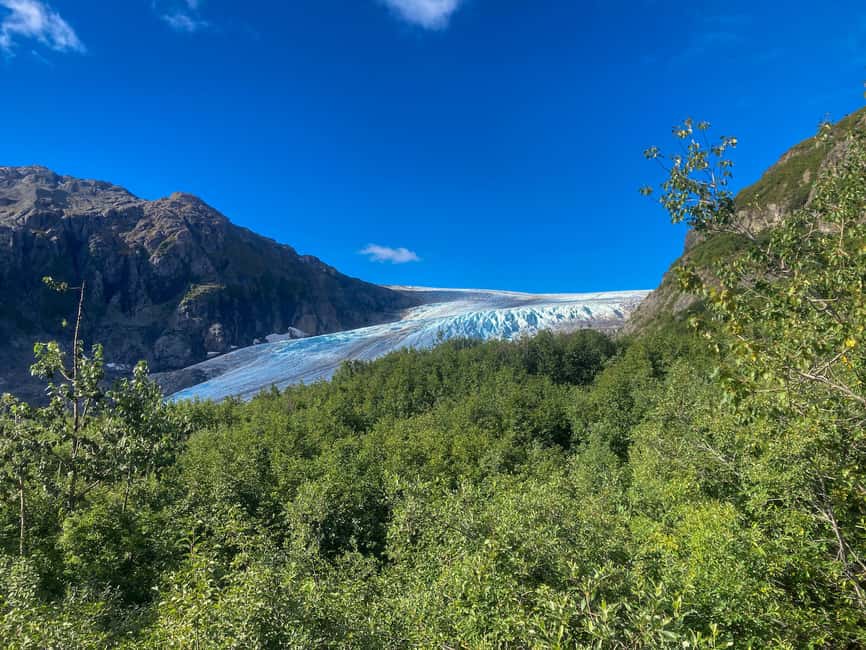 image n.8 of From Seward: Harding Icefield Trail Hiking Tour activity in Seward, uploaded by supplier