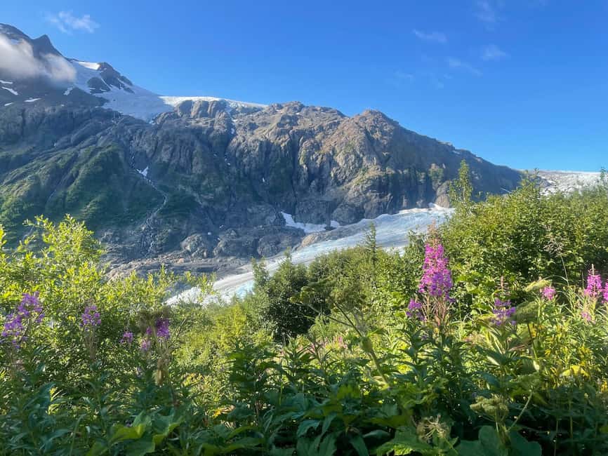 image n.12 of From Seward: Harding Icefield Trail Hiking Tour activity in Seward, uploaded by supplier