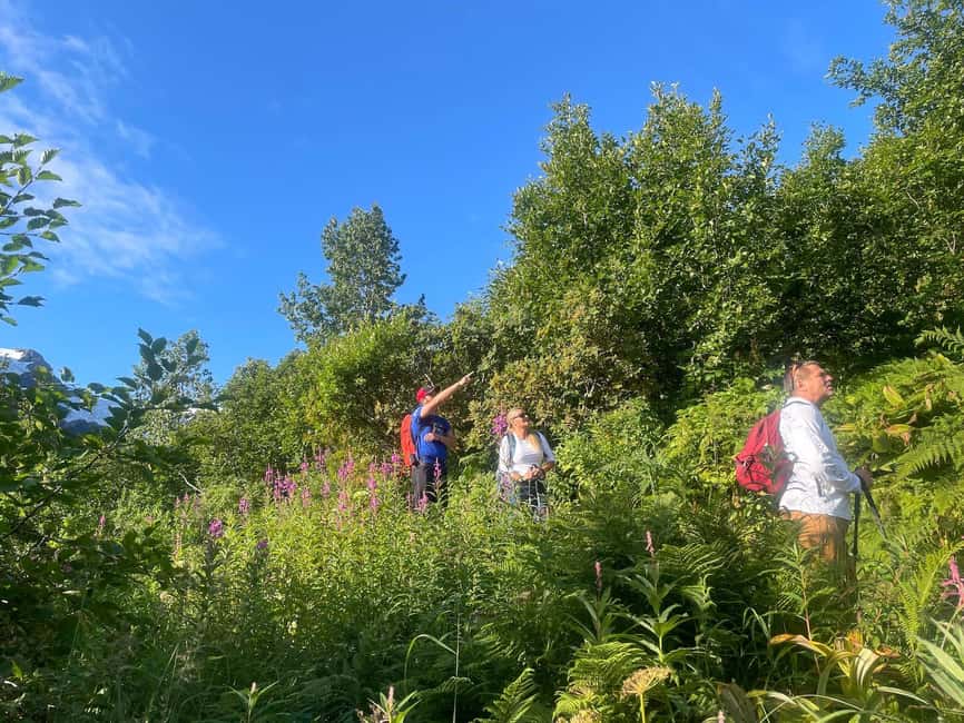 image n.13 of From Seward: Harding Icefield Trail Hiking Tour activity in Seward, uploaded by supplier