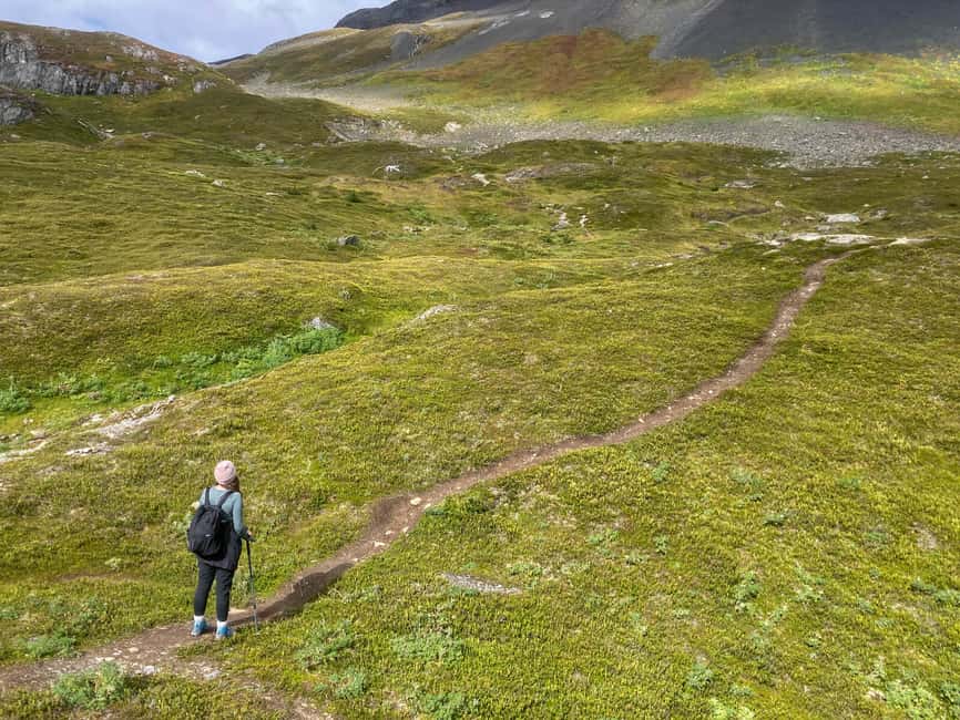 image n.16 of From Seward: Harding Icefield Trail Hiking Tour activity in Seward, uploaded by supplier