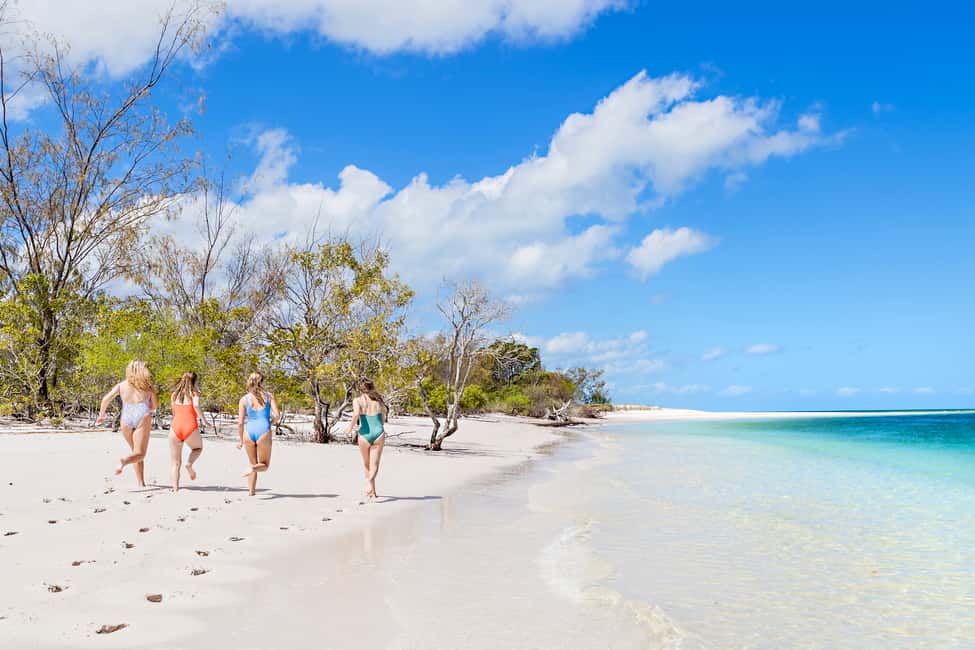 image n.6 of From Hervey Bay: Remote K'gari Tour by Boat with Lunch activity in Tinnanbar, uploaded by supplier
