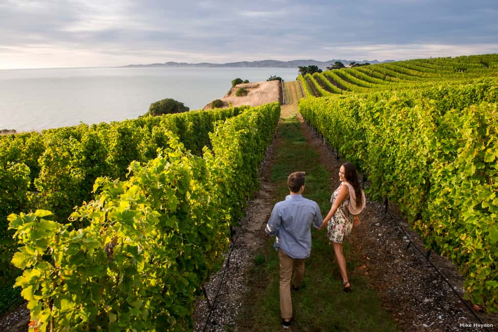 image n.7 of Marlborough Half-Day Wine Tour from Blenheim activity in Blenheim, uploaded by supplier