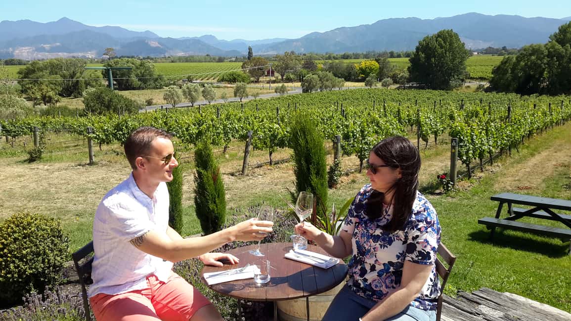 image n.8 of Marlborough Half-Day Wine Tour from Blenheim activity in Blenheim, uploaded by supplier