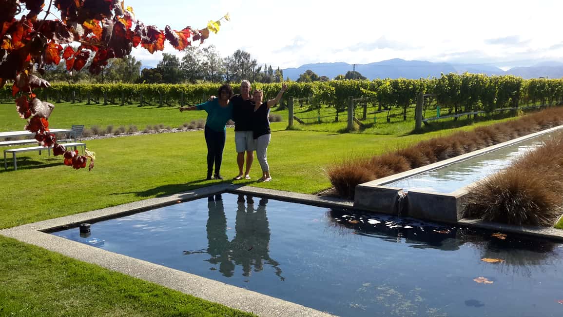 image n.10 of Marlborough Half-Day Wine Tour from Blenheim activity in Blenheim, uploaded by supplier