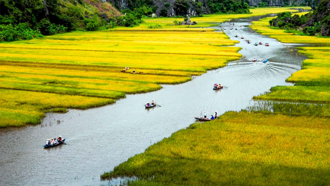 image n.15 of Hanoi/Ninh Binh: 1-Day Tam Coc/Trang An, Hoa Lu & Mua Caves activity in Central Vietnam, uploaded by supplier