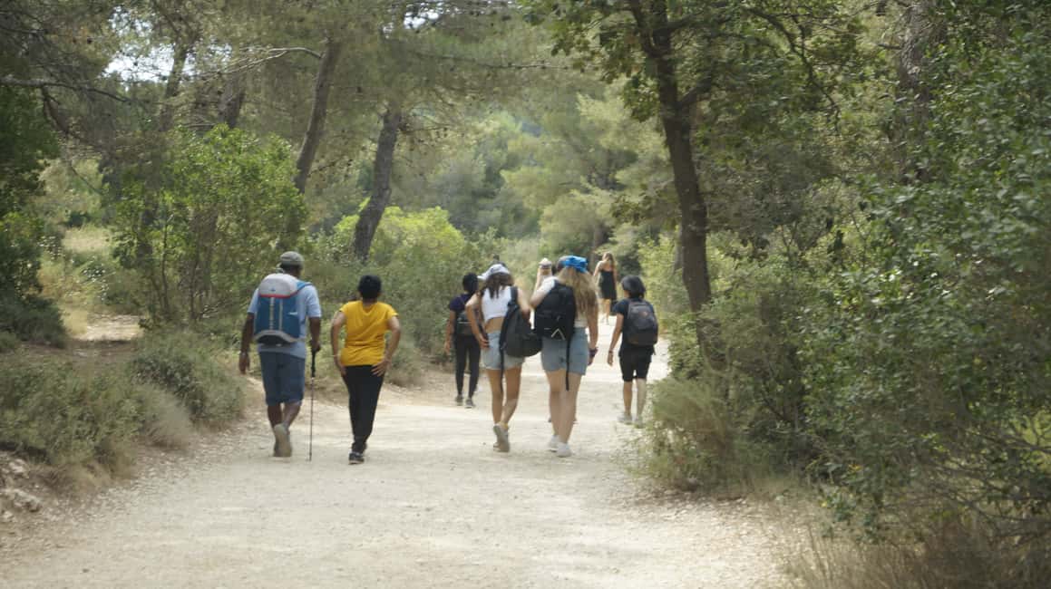 image n.6 of Marseille: Calanques National Park Guided Hike with Picnic activity in Marseille, uploaded by supplier
