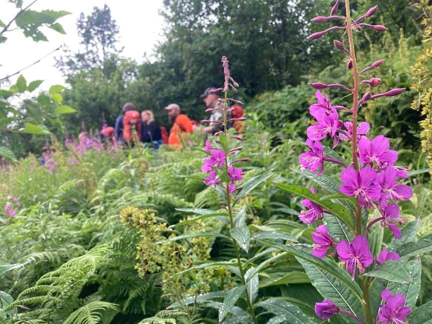image n.7 of From Seward: 2-hour Wilderness Hiking Tour activity in Seward, uploaded by supplier