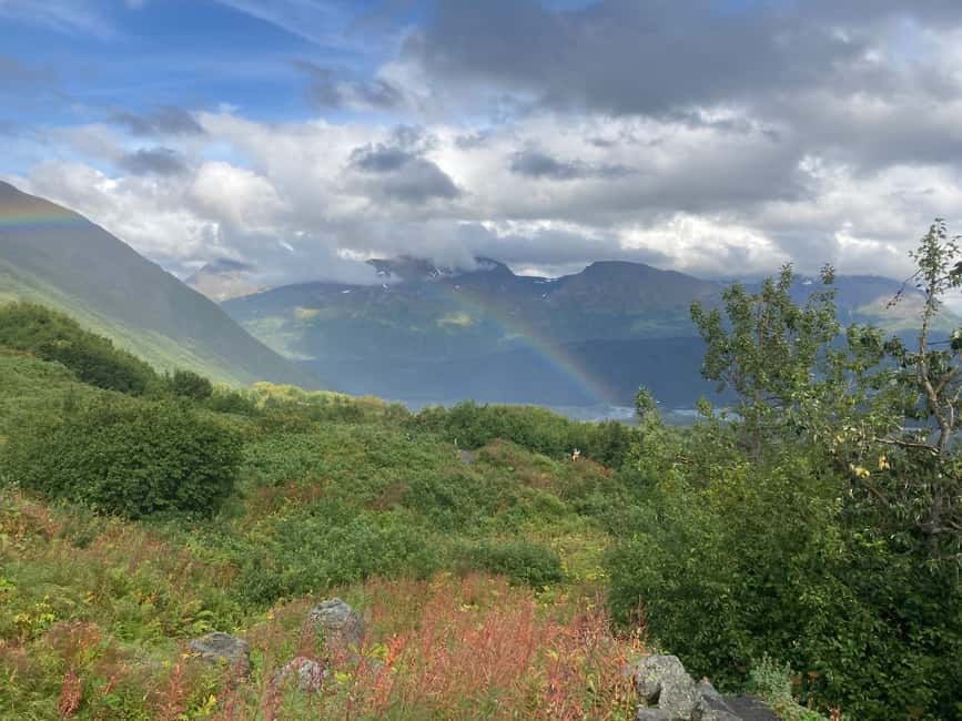image n.9 of From Seward: 2-hour Wilderness Hiking Tour activity in Seward, uploaded by supplier