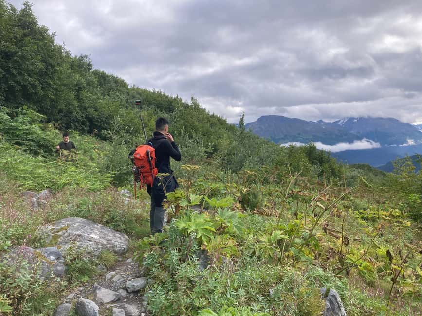 image n.3 of From Seward: 2-hour Wilderness Hiking Tour activity in Seward, uploaded by supplier