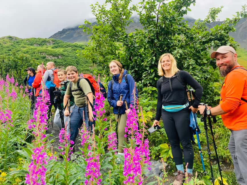 image n.2 of From Seward: 2-hour Wilderness Hiking Tour activity in Seward, uploaded by supplier