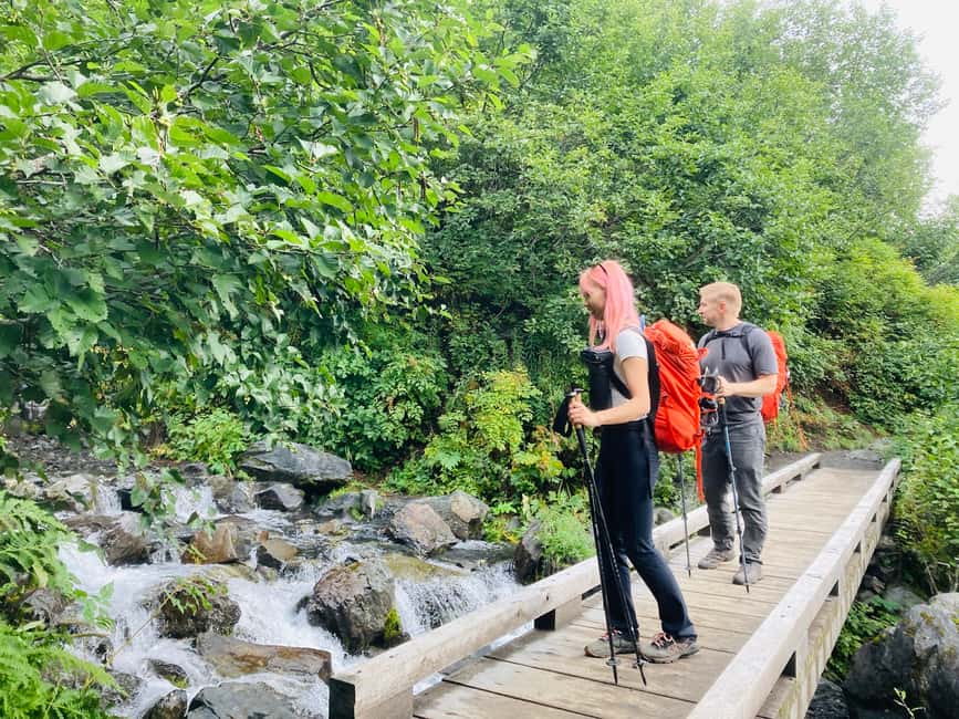 image n.12 of From Seward: 2-hour Wilderness Hiking Tour activity in Seward, uploaded by supplier