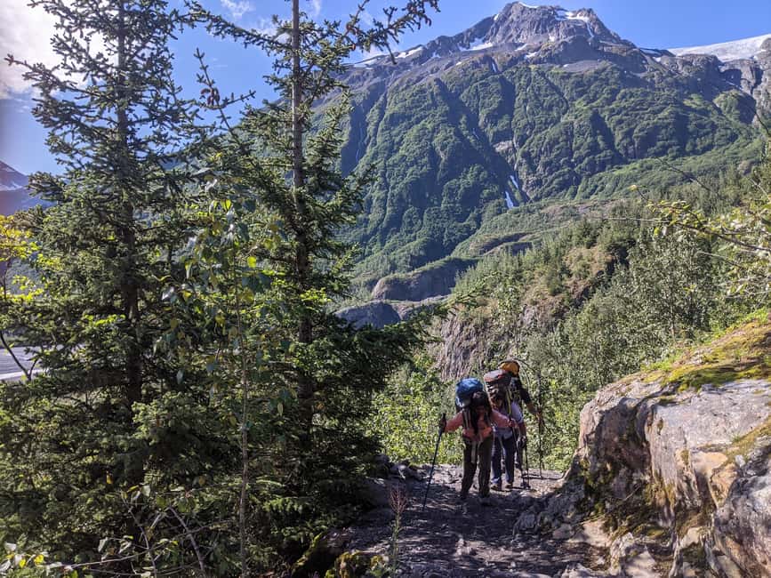 image n.13 of From Seward: 2-hour Wilderness Hiking Tour activity in Seward, uploaded by supplier