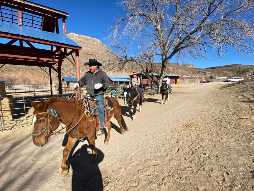 image n.1 of Horseback Ride thru Joshua Tree Forest with Buffalo & Lunch activity in Arizona, uploaded by supplier