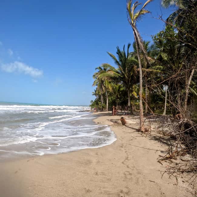 imagem n.3 de Palomino: Passeio de Tubulação e Caminhada no Rio Palomino atividade em Guajira, carregada pelo fornecedor