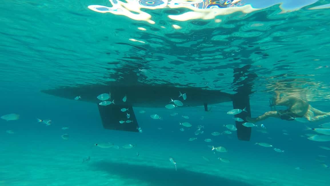 image n.23 of Asinara: Full Day Sailboat Excursion from Stintino activity in Sardinia, uploaded by supplier