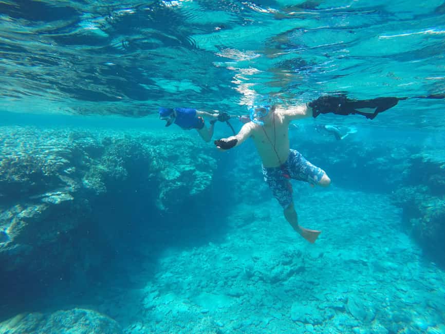 image n.8 of Okinawa : Kerama Whole Day Snorkeling Tour From Chatan activity in Okinawa, uploaded by supplier