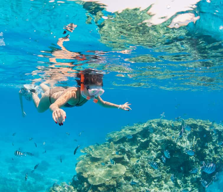 image n.23 of Hurghada: Luxury Cruise Trip to Orange Bay with Lunch activity in Red Sea Governorate, uploaded by supplier