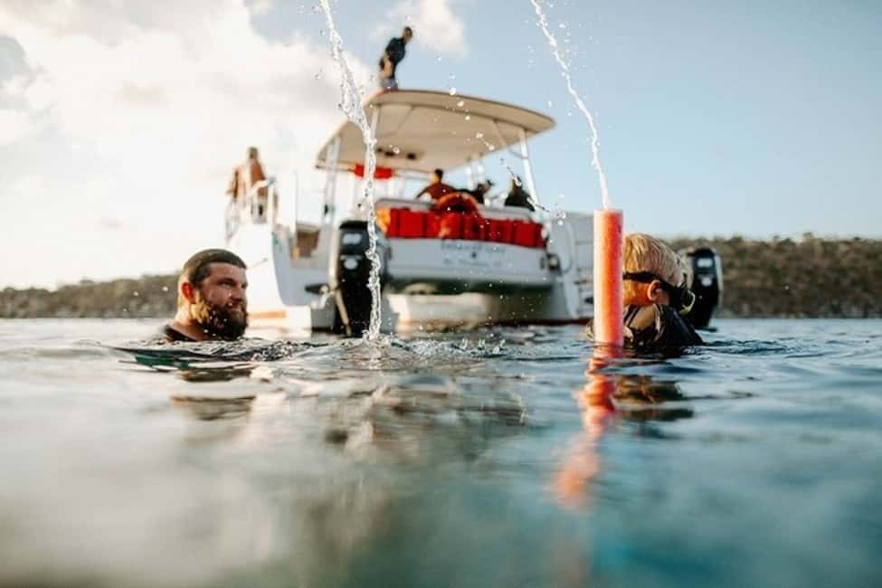 billede nr.4 af aktiviteten Thomas: Island Flyer privat katamaran strand og snorkling i Sankt Jan, uploadet af udbyder