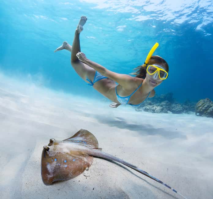 billede nr.6 af aktiviteten Thomas: Island Flyer privat katamaran strand og snorkling i Sankt Jan, uploadet af udbyder