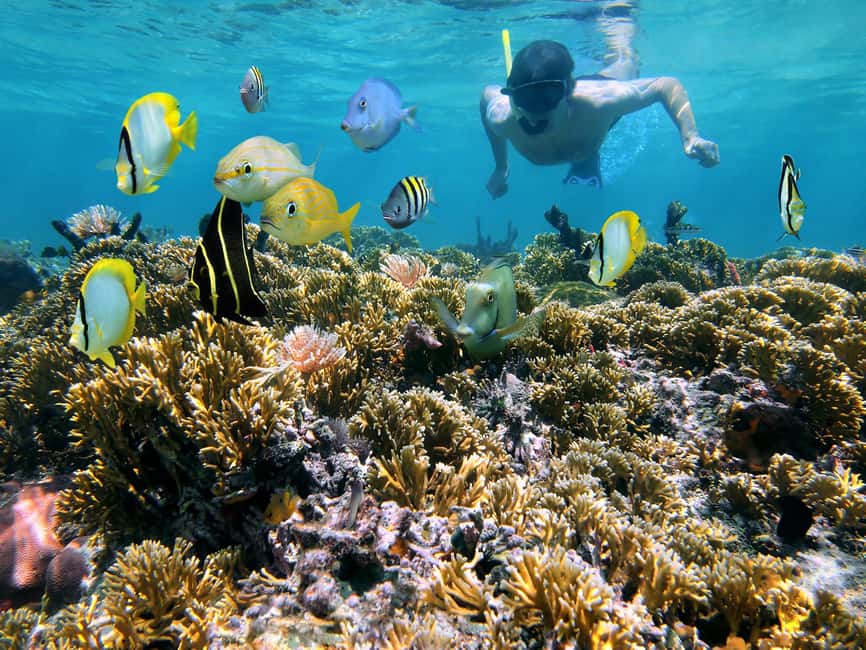 billede nr.8 af aktiviteten Thomas: Island Flyer privat katamaran strand og snorkling i Sankt Jan, uploadet af udbyder