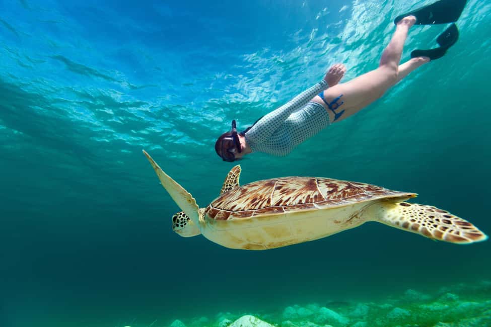 billede nr.11 af aktiviteten Thomas: Island Flyer privat katamaran strand og snorkling i Sankt Jan, uploadet af udbyder