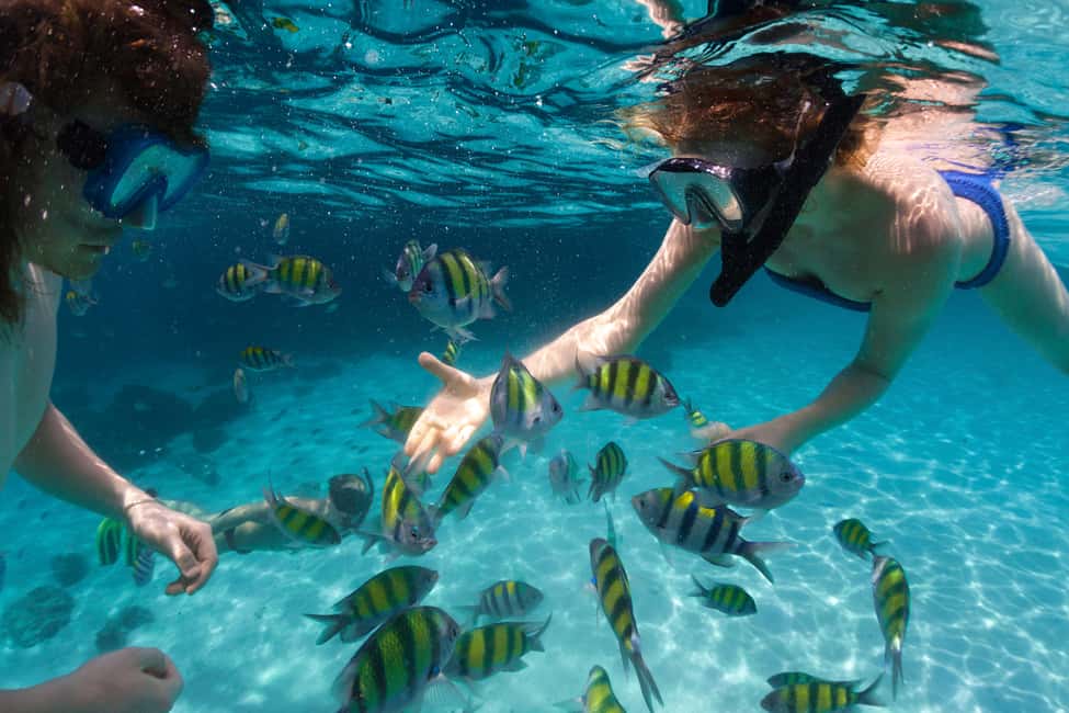 billede nr.21 af aktiviteten Thomas: Island Flyer privat katamaran strand og snorkling i Sankt Jan, uploadet af udbyder