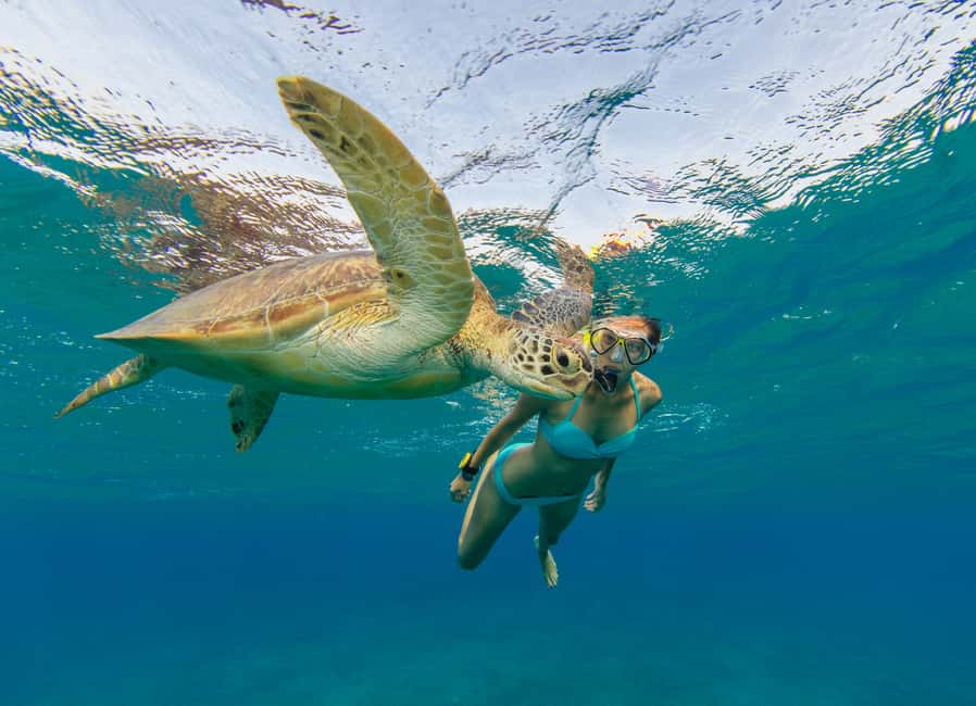 billede nr.26 af aktiviteten Thomas: Island Flyer privat katamaran strand og snorkling i Sankt Jan, uploadet af udbyder