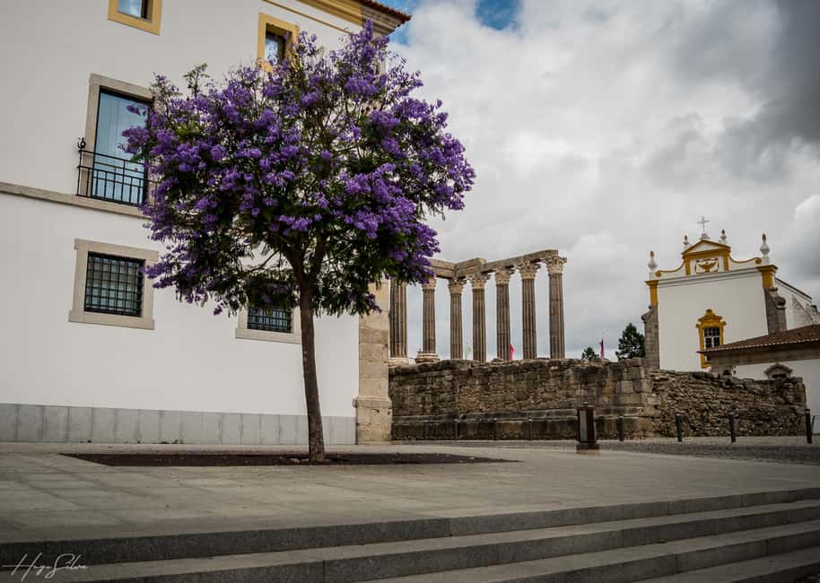 imagem n.4 de Évora: passeio a pé guiado por contos e lendas atividade em Évora, carregada pelo fornecedor