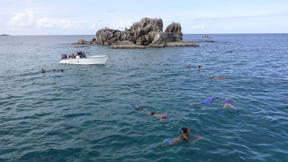 image n.8 of From Praslin: Cousin, Curieuse & St Pierre Islands Day Tour activity in Mahé, uploaded by supplier