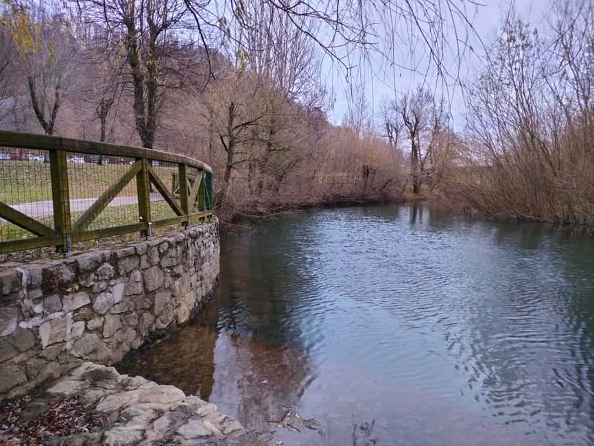 Immagine nº 6 di Da Lubiana: gita di un giorno al lago di Bled e alle grotte di Postumia attività a Postojna, caricata dal fornitore