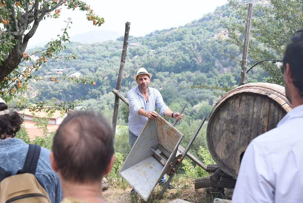image n.3 of Sorrento: Farm Tour with Cheese Tasting & Pizza Making Class activity in Sorrento, uploaded by supplier