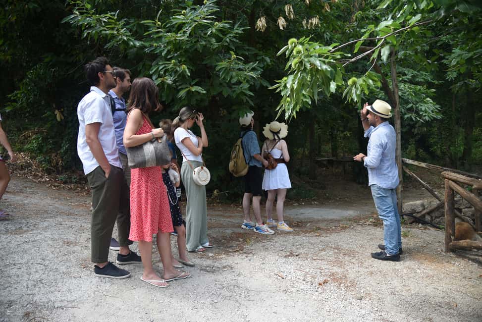 image n.5 of Sorrento: Farm Tour with Cheese Tasting & Pizza Making Class activity in Sorrento, uploaded by supplier