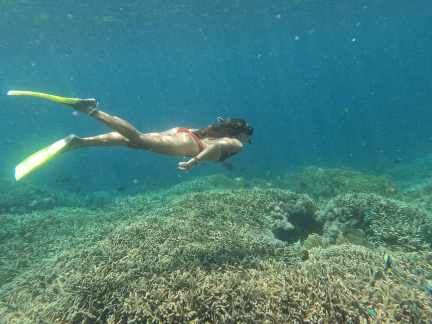 image n.2 of From Lembongan: Nusa Penida Snorkeling Day Trip activity in Bali, uploaded by supplier
