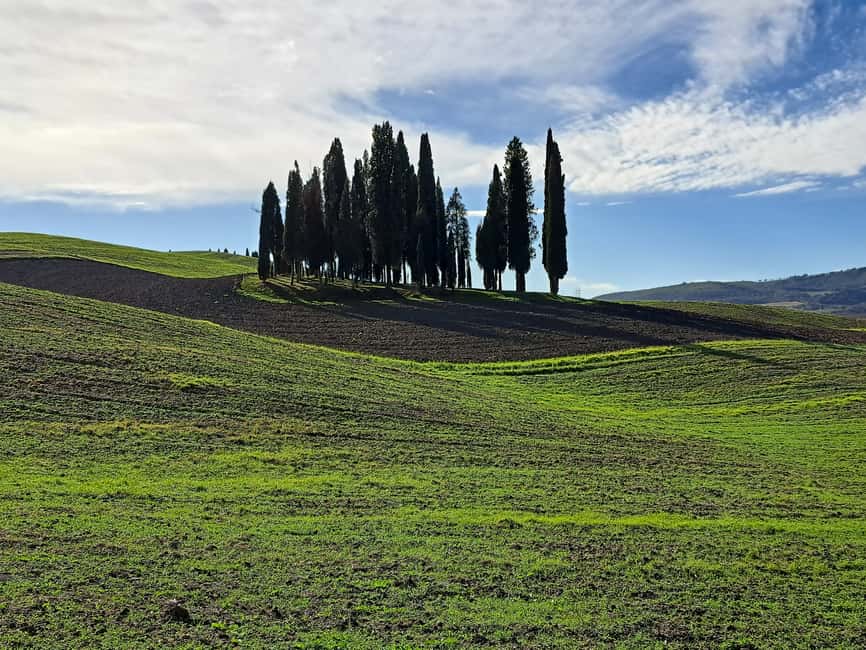 imagen n.º 5 de Desde Siena: tour en grupos pequeños por Pienza y Montepulciano actividad en Montepulciano, subida por el proveedor
