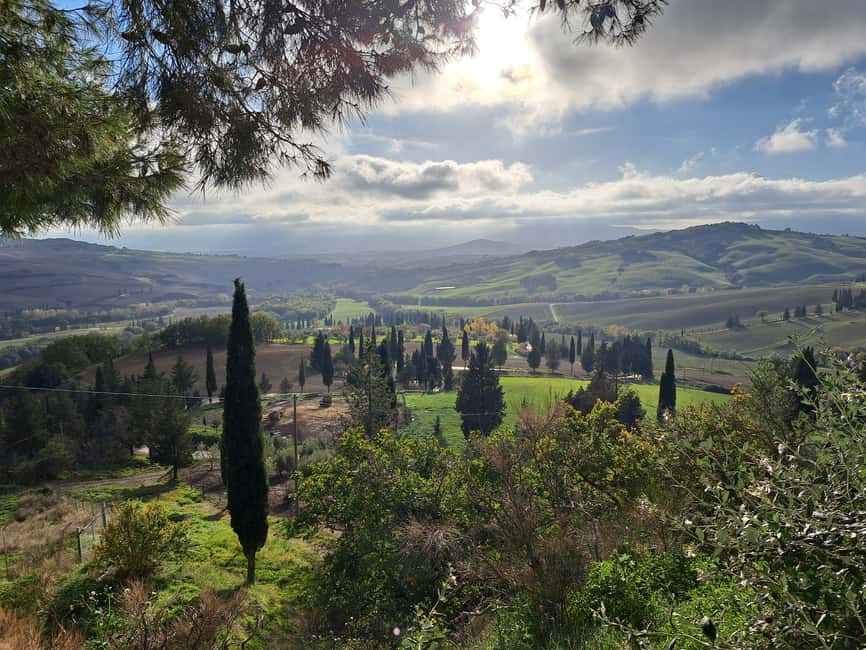 imagen n.º 6 de Desde Siena: tour en grupos pequeños por Pienza y Montepulciano actividad en Montepulciano, subida por el proveedor