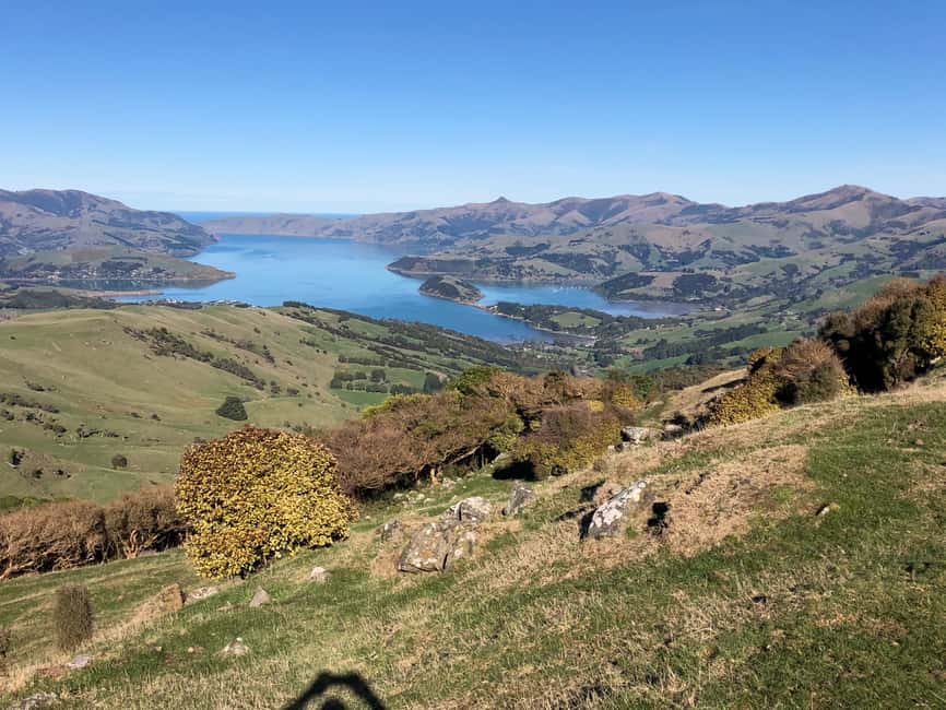 image n.3 of Akaroa: Scenic Coastline Wildlife Cruise activity in South Island, uploaded by supplier